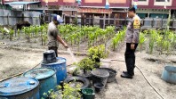 Bripka Rian Akbar  Melaksanakan Kegiatan Pengecekan Tanaman Cabe Kecamatan Dumai Kota.