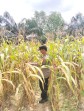 Bhabinkamtibmas Aipda Dedi Tiawarman   Melaksanakan Kegiatan Pengecekan Ketahanan Pangan