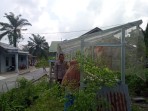 Bhabinkamtibmas Bersama  Petani Melakukan Pengecekan Pekarangan Pangan  Bergizi Dalam Rangka  Mendukung Program Ketahanan Pangan  Nasional.