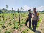 Polsek Sungai Sembilan   Bersama Petani Melakukan Pengecekan Pekarangan Dalam Rangka  Mendukung Penuh  Program Ketahanan Pangan Nasional