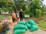 Apical Dukung Produktivitas Peternak Binaan di Dumai melalui Pemanfaatan Bungkil Inti Sawit.