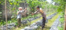 Bhabinkamtibmas Melaksanakan Pengecekan Pekarangan Pangan Bergizi Nasional