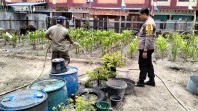 Bripka Rian Akbar Melaksanakan Kegiatan Pengecekan Ketahanan Pangan Cabe.