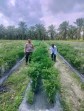 Bhabinkamtibmas AIPDA ARDIAN KURNIAWAN, S.T Cek Pekarangan Pangan Bergizi Dalam Rangka Mendukung  Program Ketahanan Pangan Nasional.