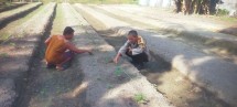 BHABINKAMTIBMAS BERSAMA PETANI MELAKUKAN PENGECEKAN PEKARANGAN PANGAN BERGIZI DALAM RANGKA MENDUKUNG PROGRAM KETAHANAN PANGAN NASIONAL.
