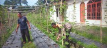 Bhabinkamtibmas Aiptu Subandi   Bersama Petani Melakukan Pengecekan Pekarangan Pangan Bergizi Berupa Tanaman Pare