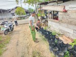 Bripka Rian Akbar  Kelurahan Rimba Sekampung Melaksanakan Kegiatan Pengecekan Ketahanan Tanaman Cabe