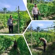 Aipda Ardian Kurniawan Melaksanakan Giat Pengecekan Pekarangan Pangan Bergizi Dalam Rangka Mendukung Program Nasional.