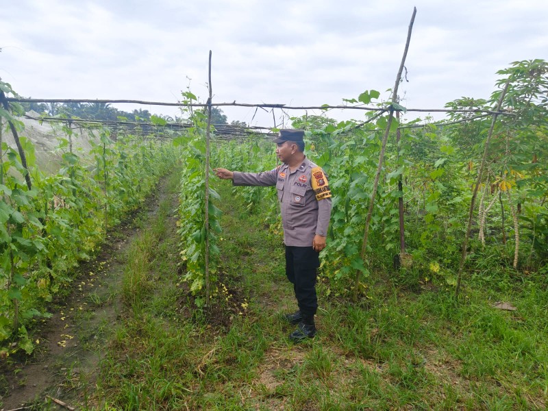 Bhabinkamtibmas Bersama Petani Melakukan Pengecekan Pekarangan  Pangan Bergizi.