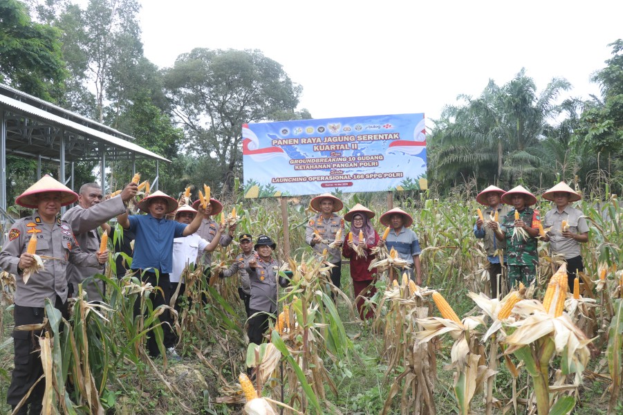 Polres Dumai melaksanakan kegiatan Panen Raya Jagung Pipil Kuartal II Tahun 2026