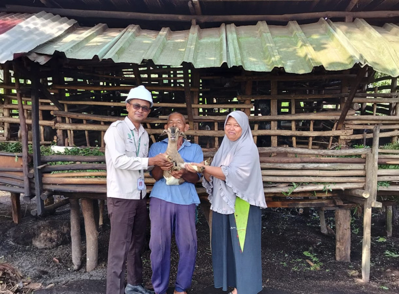 Apical Jalankan Program Budi Daya Kambing dan Pelatihan Penyusunan Rencana Bisnis untuk Kelompok Tani di Dumai