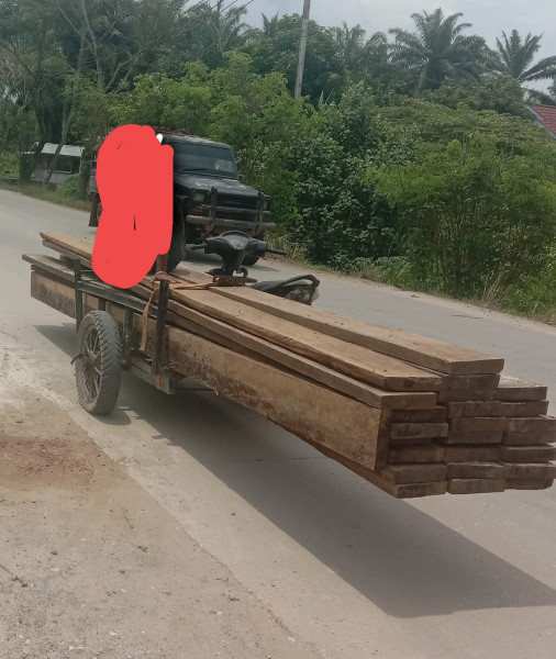 Ketua DPK ALUN Kota Dumai Menegaskan,Tangkap Pelaku Ilegal Logging Di sungai Sembilan