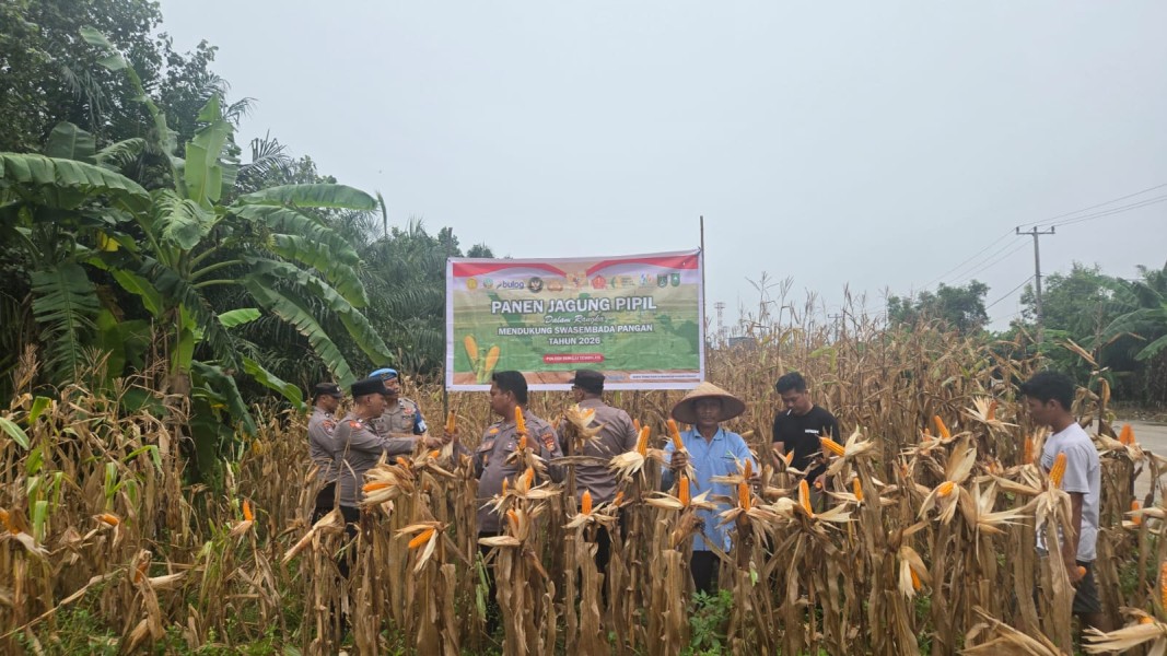 Polsek Sungai Sembilan Laksanakan Panen Jagung Pipil.