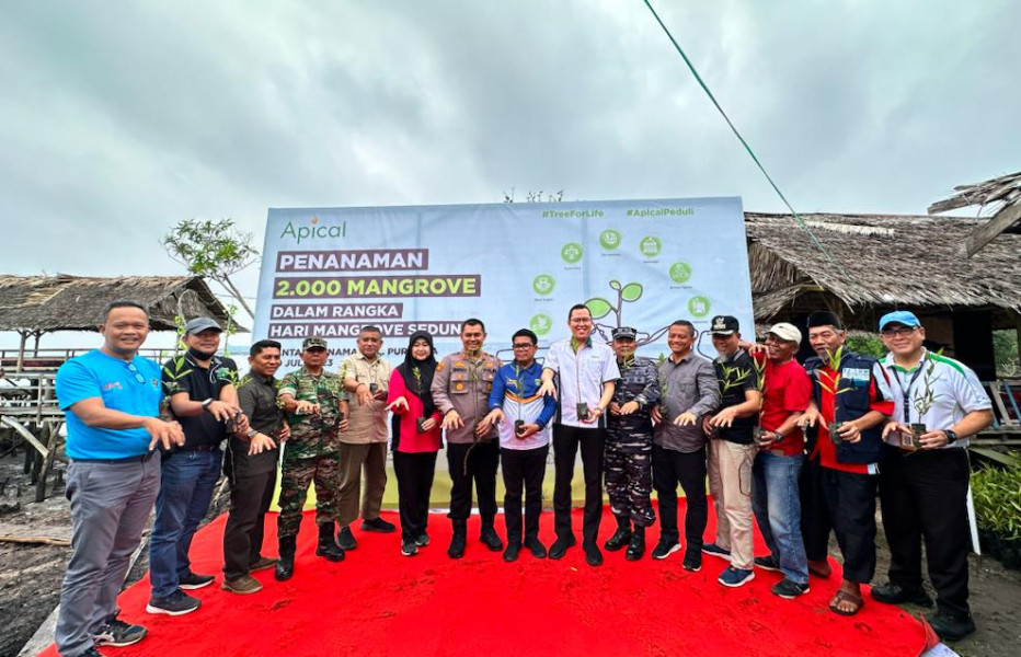 Dukung Pemerintah Percepat Target Rehabilitasi Hutan Mangrove, Apical Tanam 2.000 Mangrove di Dumai