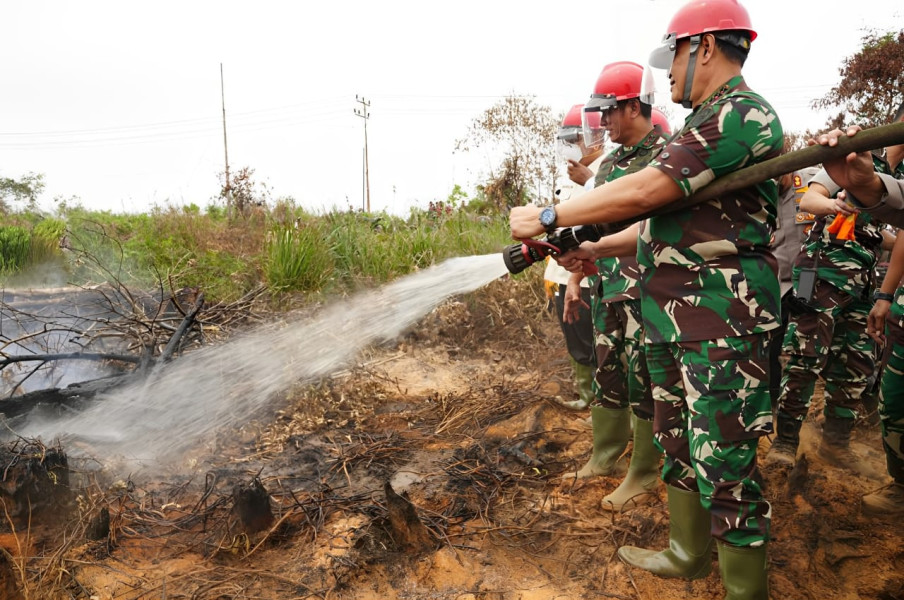 Panglima TNI: Tanpa Kebersamaan Karhutla Tidak Dapat Diatasi