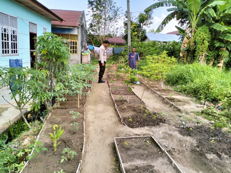 Bripka Bob Sinaga  Melaksanakan Kegiatan Pengecekan Ketahanan Pangan Dengan Memantau Penanaman Cabe.
