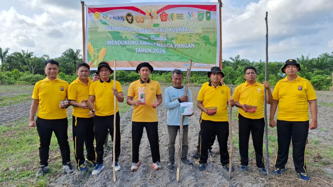 DUKUNG KETAHANAN PANGAN, POLSEK BUKIT KAPUR POLRES DUMAI TANAM JAGUNG DI LAHAN 1,5 HEKTARE