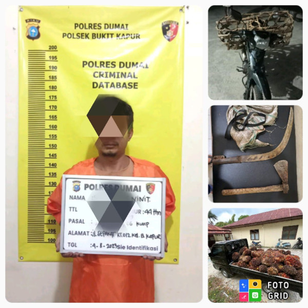 Unit Reskrim Polsek Bukit Kapur Jajaran Polres Dumai Berhasil Mengungkap Kasus Tindak Pidana Pencurian