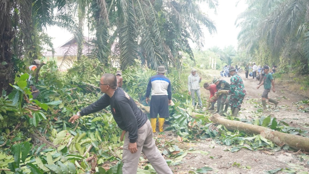 Sinergi Yang Baik Antara TNI dan Warga Menjadi Kunci Kelancaran Program TMMD
