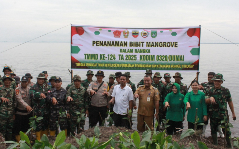 TMMD ke124 Kodim 0320 Dumai Pentingnya Penanaman Bibit Mangrove di Kawasan Pesisir Pantai