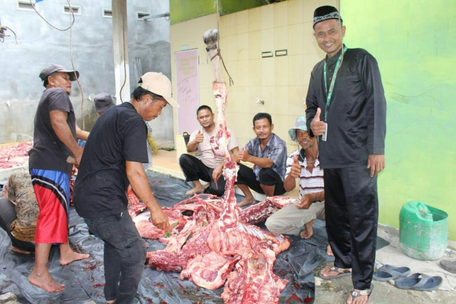 Peringati Hari Raya Idul Adha, Apical Dumai Salurkan Hewan Kurban ke Masyarakat