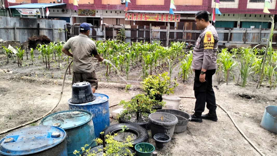 Bripka Rian Akbar Melaksanakan Kegiatan Pengecekan Ketahanan Pangan Cabe.