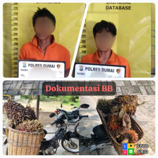 Jajaran Polres Dumai Berhasil Mengungkap Kasus tindak Pidana Pencurian Ringan