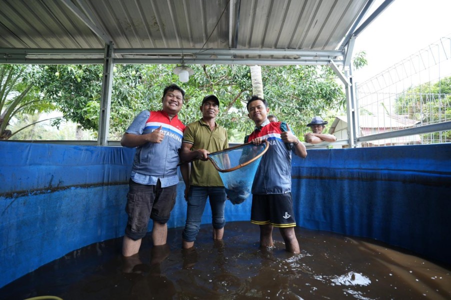 Kelompok Nelayan Binaan CSR Pertamina Patra Niaga Kilang Dumai Konsisten Panen Ikan Nila Salin.