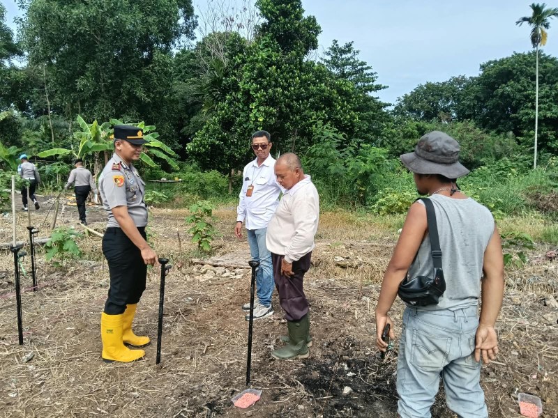 Kapolsek Kawasan Pelabuhan Dumai Laksanakan Kegiatan Penanaman Jagung Pipil  Kuartal IV Tahun 2026.
