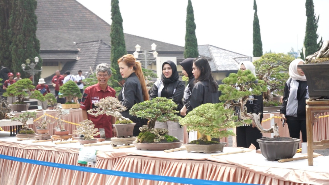 Art Policing, Pameran Bonsai Dan Suiseki Di Sespim Lemdiklat Polri