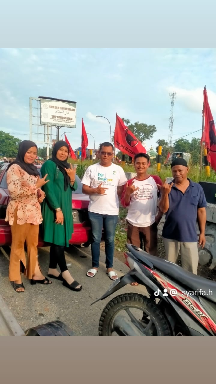 Puluhan Bendera PDI Perjuang Berkibar Indah Di Titi Gampong Sungai Lueng