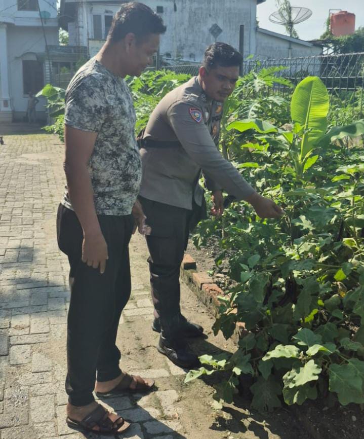 Polsek Sungai Sembilan Bersama Petani  Laksanakan Pengecekan Perkarangan Pangan Bergizi.