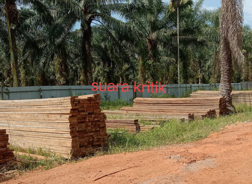 Penegak Hukum diharapkan Bertindak Tegas Terhadap Kegiatan  Ilegal logging di Sungai Sembilan Kota Dumai